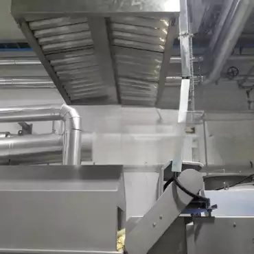 M/s. Desai Brothers Ltd. (Brinks Food)